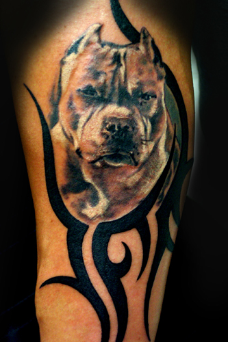 Tattoos - TRIBAL PIT ! - 21860